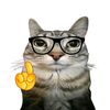 Thinkitty