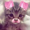 no_username1470
