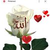 duaimran075