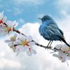 nour.lbanafsaj