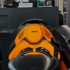 werner.033