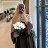 zno_s17
