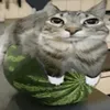kondziqn0