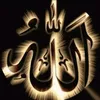 user9560112195954