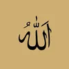 username12342692
