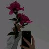 user24813476976635