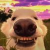 vance_0796