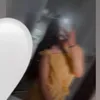 dilcan_halilova