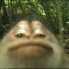 dantheman8423
