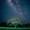 xenon_67_