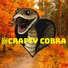 craftycobra5