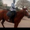 user8223848297913