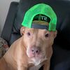 bennett101111