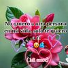 princesa6523