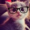 mariam.gomez05