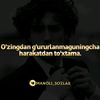alsher206
