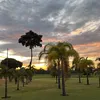 americanfarms7