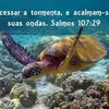 user908284522