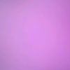 sararah.imscwibs25