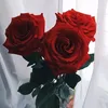 user2041636310928