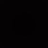 tayr_155