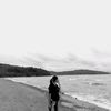 ines.ces