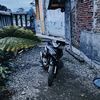 pitblumbobo