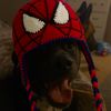 theoneandonlyspiderman82