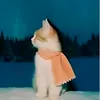 itsme_pre5