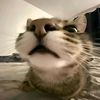 felix.beauti