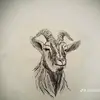 barselona0361