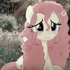 user6196102419590