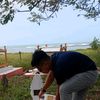 salleh.salleh735