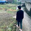 zrii_0328