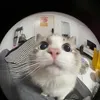 Lucky