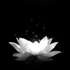 _kiuthuz.25_