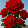 user6181801975212