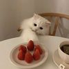 rere_7715