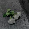 user8122022397697