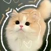 cuteneek