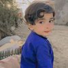 anas.gillani.786