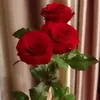 nazoo_7770