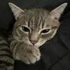 ichiroooooo