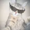 souzf_mz