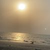 layalhaggar26