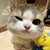 seina3601