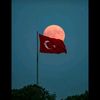 nazl6476