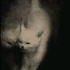 raraww_067