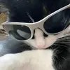 fannyuser493