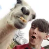 eliaspbhr2l